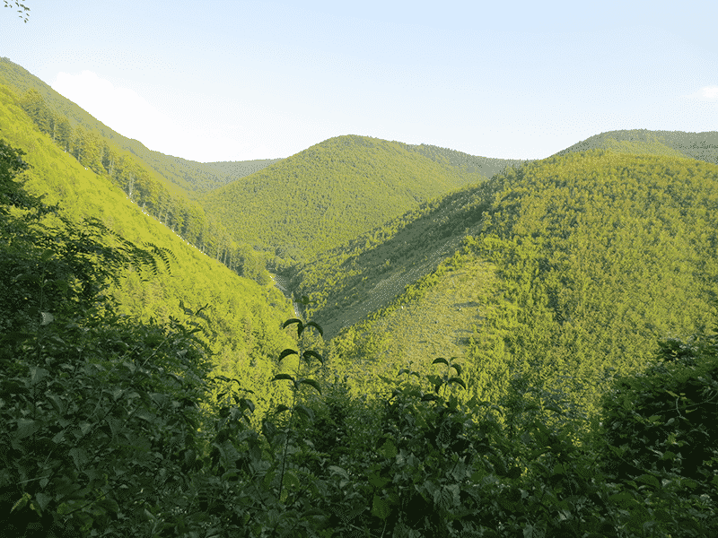 Výhľad pri stúpaní od Kľačnu ku Kláštoru pod Znievom
