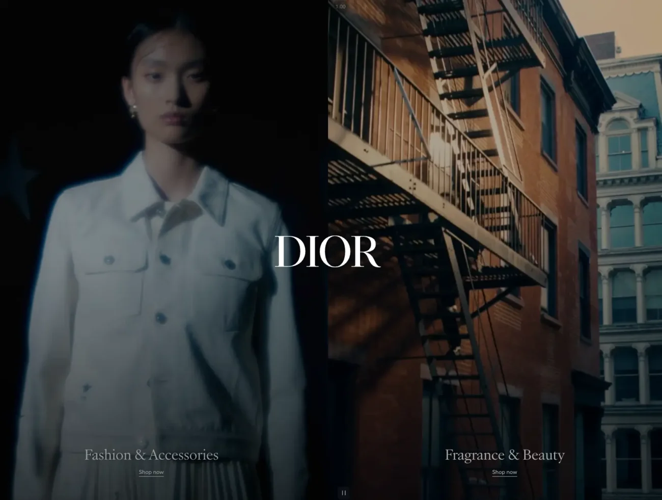 Dior - web